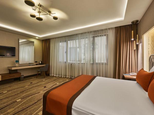 Grand Hotel Gulsoy Old City : photo 2 de la chambre chambre double deluxe