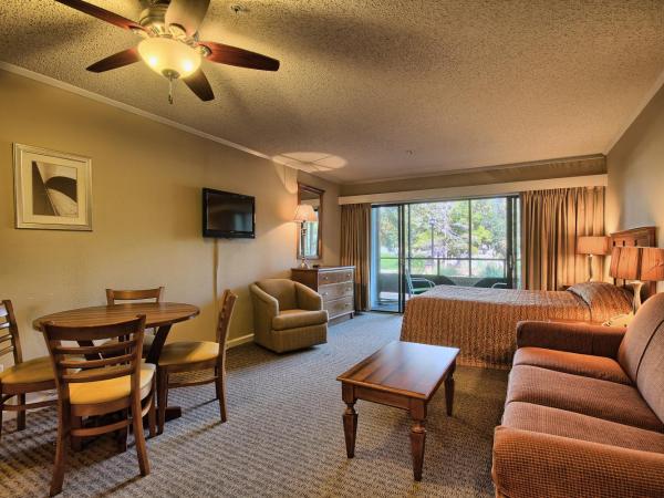 Ocean Creek Resort : photo 3 de la chambre studio villa


