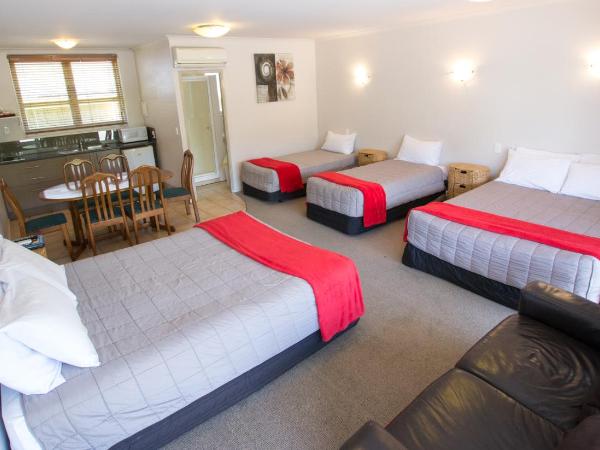 Absolute Lake View Motel : photo 1 de la chambre chambre familiale