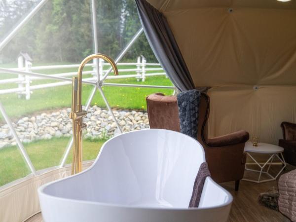 Mountain Glamp & Gorąca Balia : photo 3 de la chambre tente