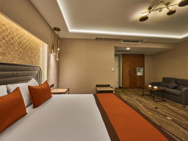 Grand Hotel Gulsoy Old City : photo 6 de la chambre chambre double deluxe