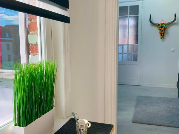 A & V Appart'hôtel : photo 9 de la chambre appartement