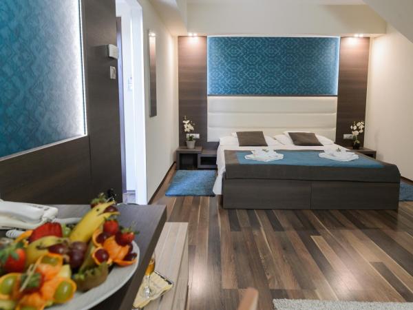 Hotel Villa Völgy Wellness & Konferencia : photo 1 de la chambre chambre deluxe double ou lits jumeaux