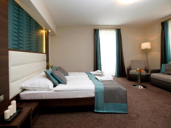 Hotel Villa Völgy Wellness & Konferencia : photo 2 de la chambre superior double room with 2 extra beds - ground floor