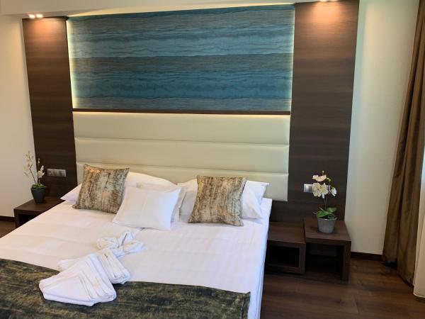 Hotel Villa Völgy Wellness & Konferencia : photo 3 de la chambre chambre deluxe double ou lits jumeaux