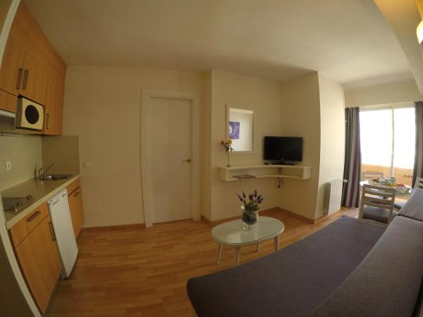 Hotel Apartamentos Princesa Playa : photo 4 de la chambre appartement 1 chambre (1-2 adultes)