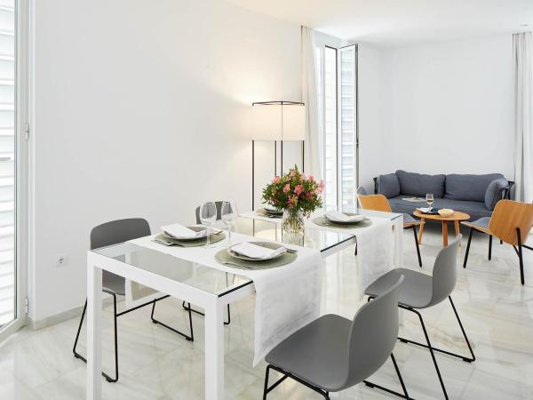 Hotel Fernando III : photo 2 de la chambre appartement en duplex