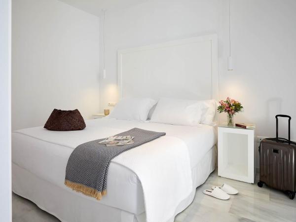 Hotel Fernando III : photo 7 de la chambre appartement mansardé avec terrasse