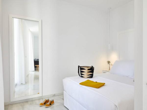 Hotel Fernando III : photo 9 de la chambre appartement mansardé avec terrasse