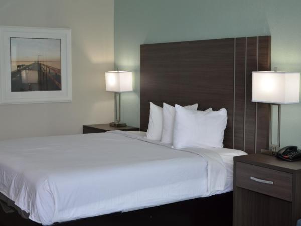 Opal Hotel & Suites : photo 10 de la chambre hébergement lit queen-size rénové - vue sur piscine