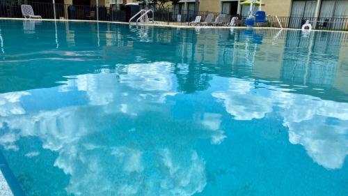 Floridian Express International Drive : photo 9 de la chambre room #5654825