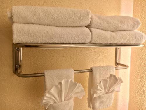 Floridian Express International Drive : photo 10 de la chambre room #5654825