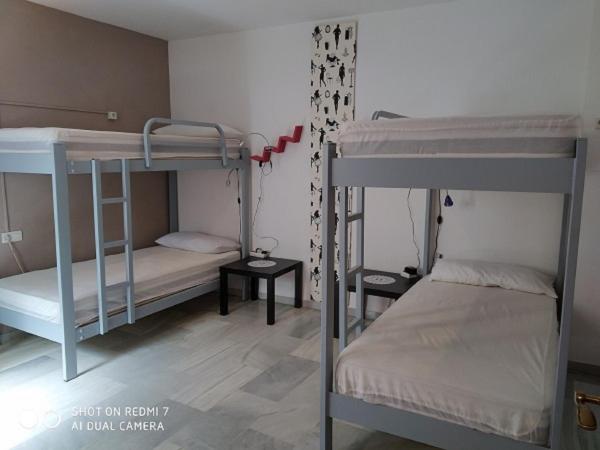 Granada Old Town Hostel : photo 9 de la chambre lit superposé dans dortoir pour femmes de 4 lits