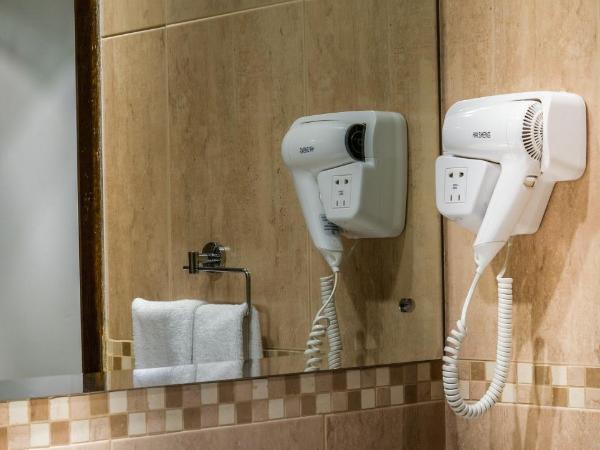 First Central Hotel Suites : photo 10 de la chambre studio exécutif