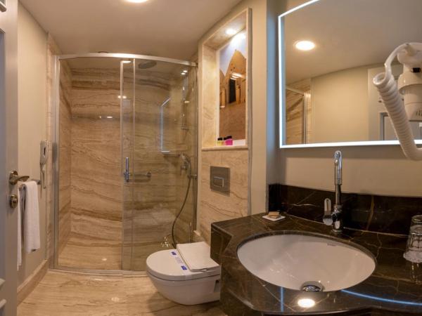 Blue Gilroy Hotel : photo 6 de la chambre chambre triple standard