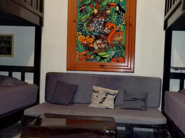 The Roof Backpackers : photo 4 de la chambre chambre quadruple avec salle de bains commune