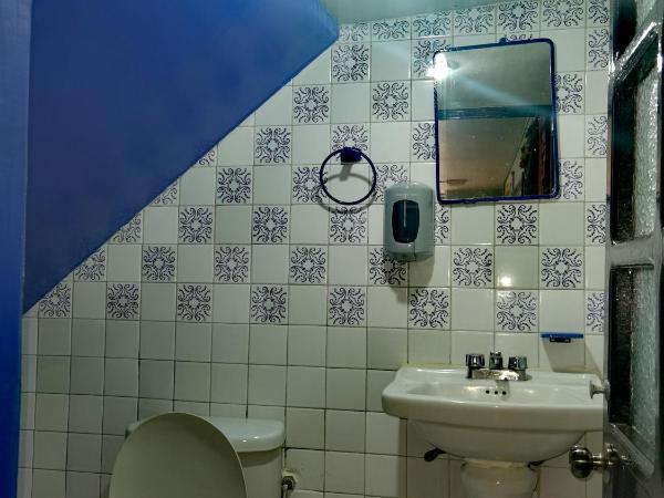 The Roof Backpackers : photo 7 de la chambre chambre quadruple avec salle de bains commune