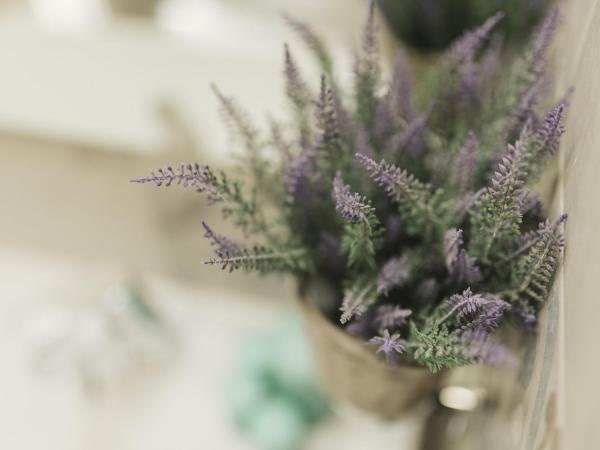 Giulietta nei Sassi : photo 4 de la chambre chambre triple confort avec douche