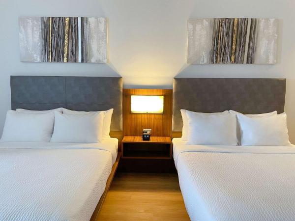 Quality Inn : photo 5 de la chambre chambre 2 lits queen-size de luxe- animaux domestiques non admis - non-fumeurs