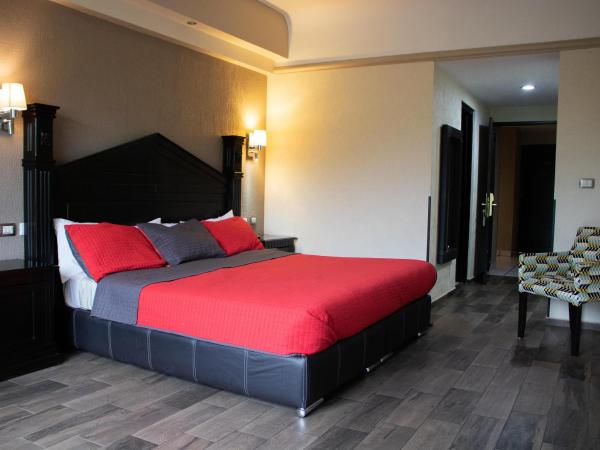 Hotel Diana del Bosque by DOT Urban : photo 1 de la chambre chambre lit king-size supérieure
