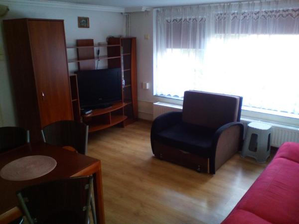 Noclegi Przy Szpitalu : photo 2 de la chambre grand studio
