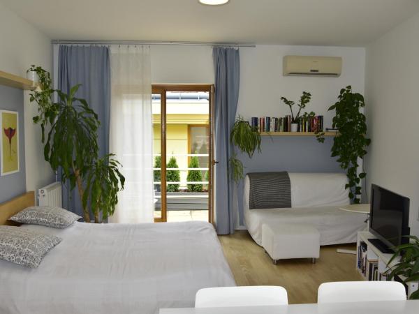 STM3 Apartman : photo 6 de la chambre appartement 1 chambre