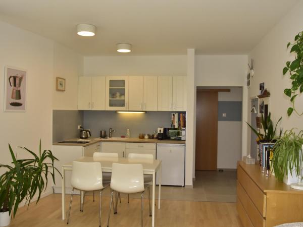 STM3 Apartman : photo 9 de la chambre appartement 1 chambre