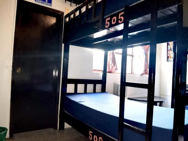 The Roof Backpackers : photo 2 de la chambre lit simple dans dortoir pour femmes