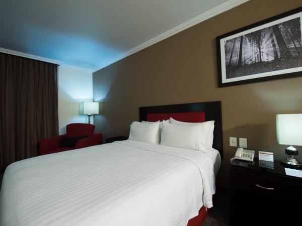 Ramada by Wyndham Ciudad de Mexico Perinorte : photo 3 de la chambre chambre lit king-size - accessible aux personnes à mobilité réduite - non-fumeurs