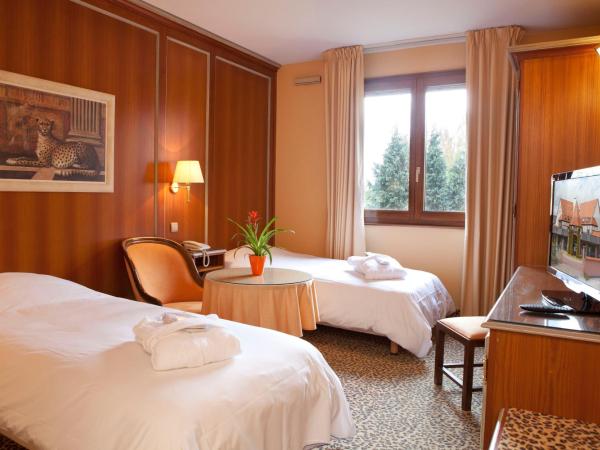 Hotel L'Europe : photo 2 de la chambre chambre double ou lits jumeaux standard