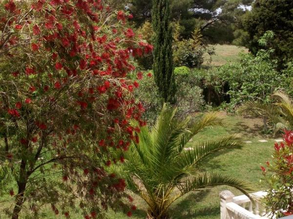 Hotel Hélios : photo 2 de la chambre chambre double - piscine chauffée et parking gratuit