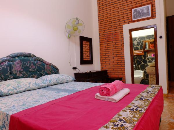 Kampoeng Djawa Hotel : photo 2 de la chambre chambre double ou lits jumeaux supérieure