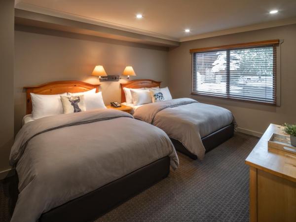 Buffalo Mountain Lodge : photo 1 de la chambre suite buffalo 2 lits queen-size