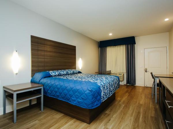 Palace Inn Blue City Centre : photo 2 de la chambre chambre lit king-size supérieure