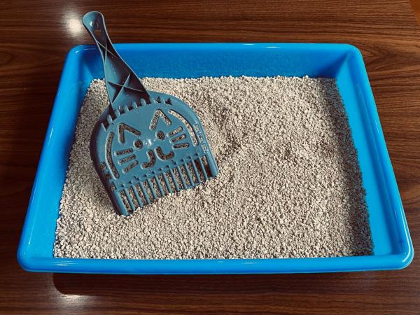 Hotel San Lucas : photo 1 de la chambre suite - animaux acceptés