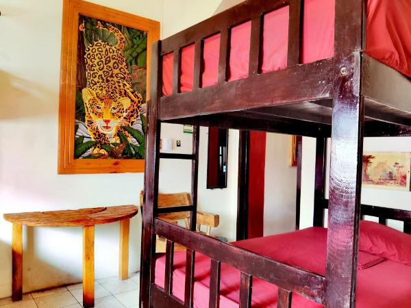 The Roof Backpackers : photo 5 de la chambre lit dans dortoir mixte de 8 lits