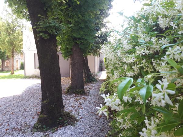 Villa Fiorentino : photo 2 de la chambre chambre double ou lits jumeaux