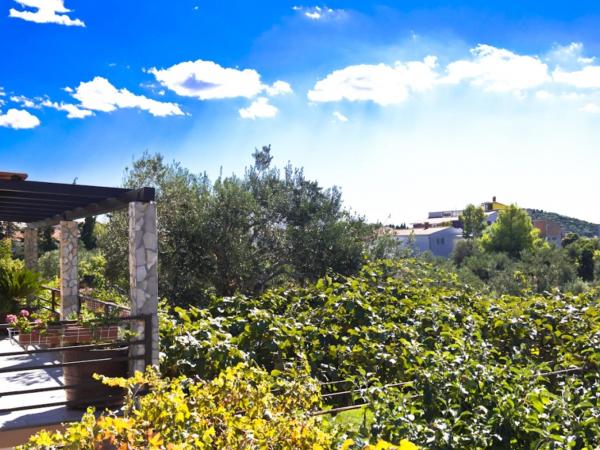 Room in Rogoznica with W-LAN 3338-5 : photo 5 de la chambre chambre double