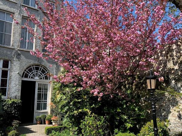 Hotel Patritius : photo 1 de la chambre chambre lits jumeaux
