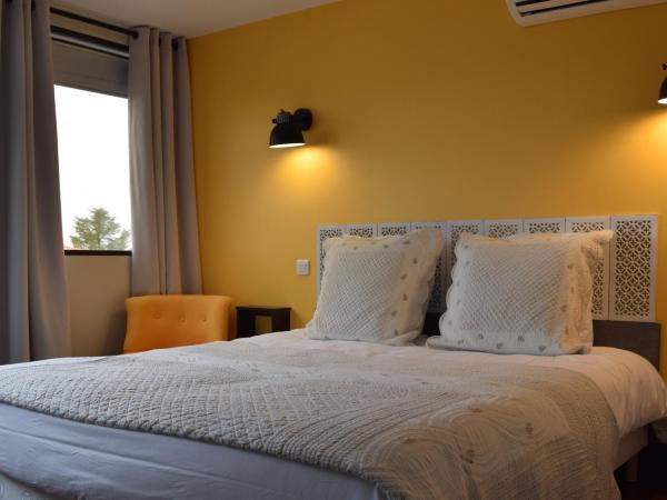 Appart-hôtel Chanzy / Angoulême : photo 2 de la chambre appartement supérieur