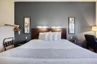 Suburban Studios : photo 2 de la chambre room #5992425