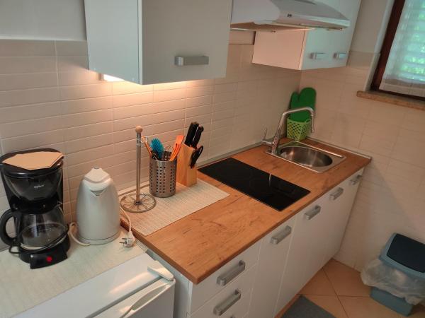 Apartments and Rooms Irena : photo 5 de la chambre appartement 1 chambre avec terrasse