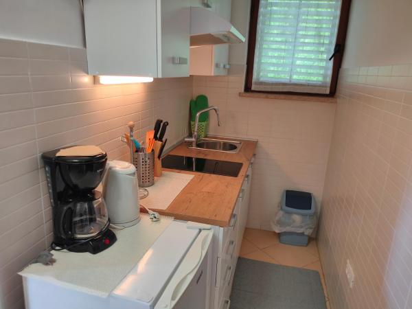 Apartments and Rooms Irena : photo 6 de la chambre appartement 1 chambre avec terrasse