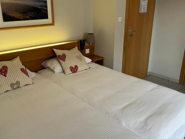 Hôtel Sainte Odile : photo 2 de la chambre chambre lits jumeaux standard