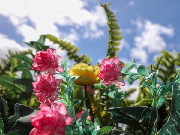 St Hilda Guesthouse : photo 4 de la chambre chambre triple avec salle de bains privative