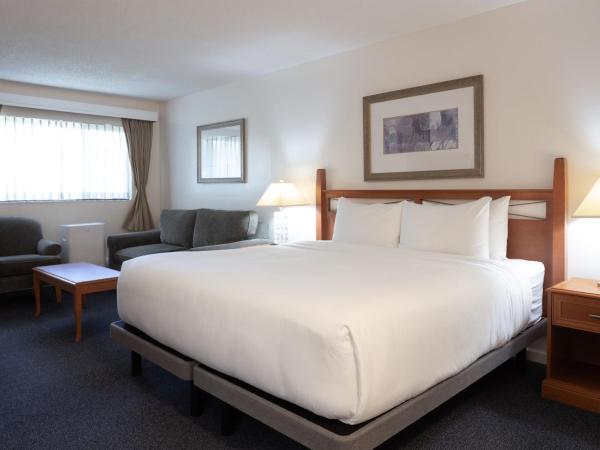 Robin Hood Inn and Suites : photo 4 de la chambre studio lit king-size avec cuisine en option