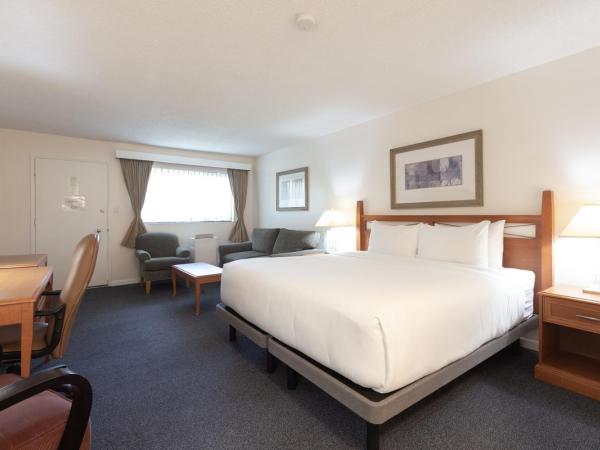 Robin Hood Inn and Suites : photo 7 de la chambre studio lit king-size avec cuisine en option