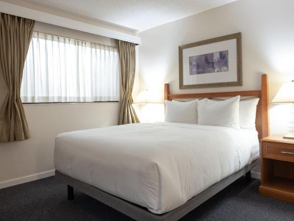 Robin Hood Inn and Suites : photo 4 de la chambre chambre standard lit queen-size