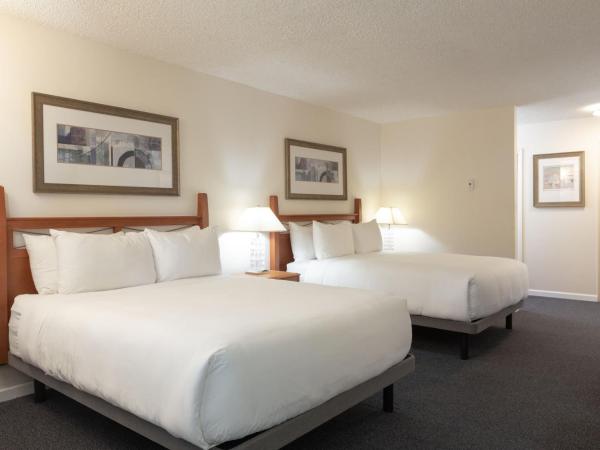 Robin Hood Inn and Suites : photo 5 de la chambre hébergement avec 2 lits queen-size et cuisine en option