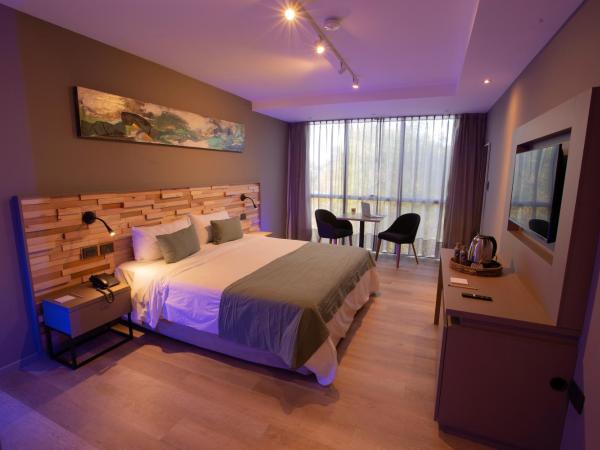 ÑU Posta Urbana Hotel Boutique : photo 8 de la chambre chambre double Économique